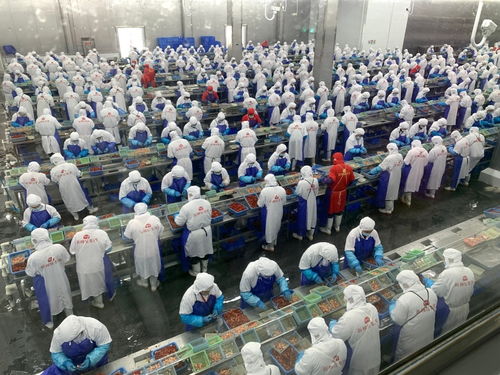 价格大跳水，潜江龙虾如何应对市场波动——记者一线调研产业链各环节的“稳定器”